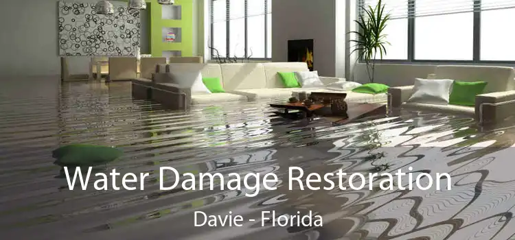 Water Damage Restoration Davie - Florida