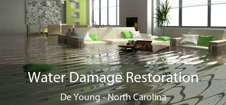 Water Damage Restoration De Young - North Carolina