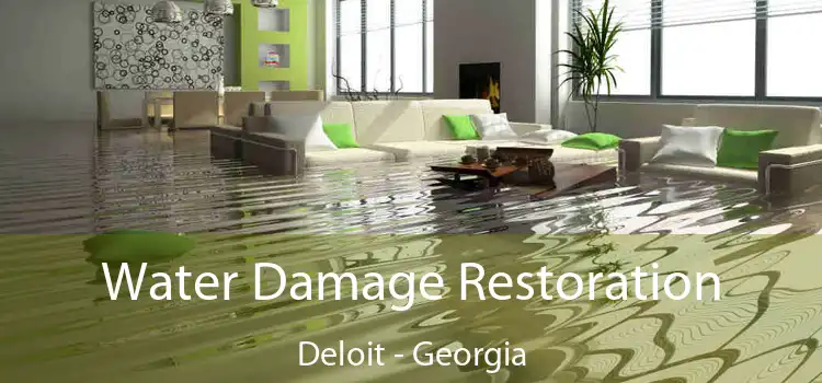 Water Damage Restoration Deloit - Georgia