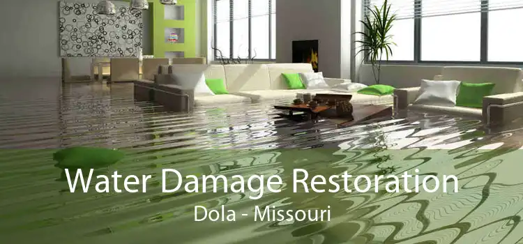Water Damage Restoration Dola - Missouri