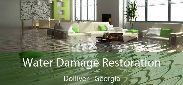 Water Damage Restoration Dolliver - Georgia