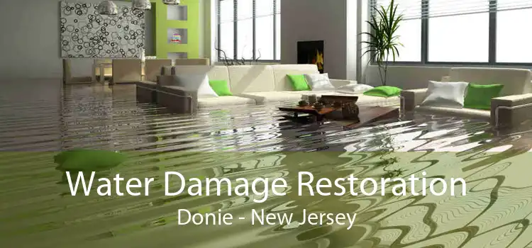 Water Damage Restoration Donie - New Jersey