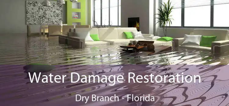 Water Damage Restoration Dry Branch - Florida