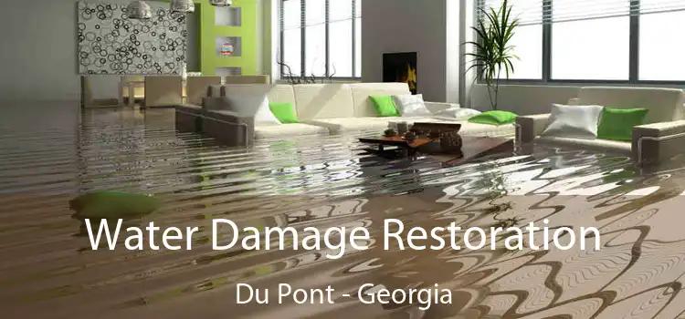 Water Damage Restoration Du Pont - Georgia