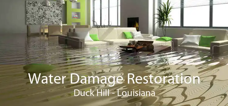 Water Damage Restoration Duck Hill - Louisiana