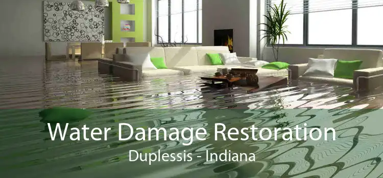 Water Damage Restoration Duplessis - Indiana