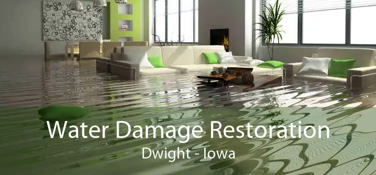Water Damage Restoration Dwight - Iowa