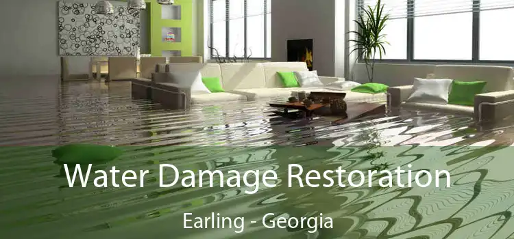 Water Damage Restoration Earling - Georgia