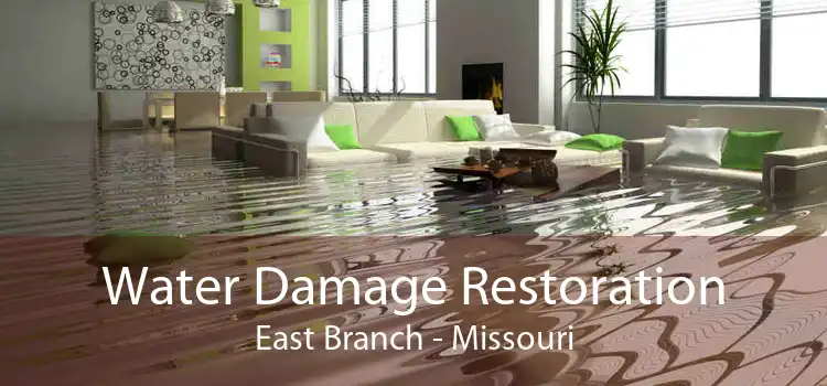 Water Damage Restoration East Branch - Missouri