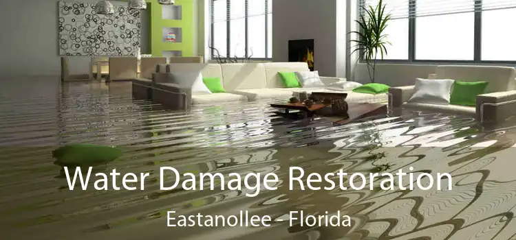 Water Damage Restoration Eastanollee - Florida