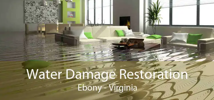 Water Damage Restoration Ebony - Virginia