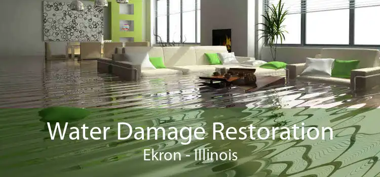 Water Damage Restoration Ekron - Illinois
