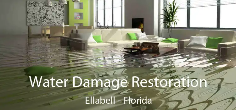 Water Damage Restoration Ellabell - Florida