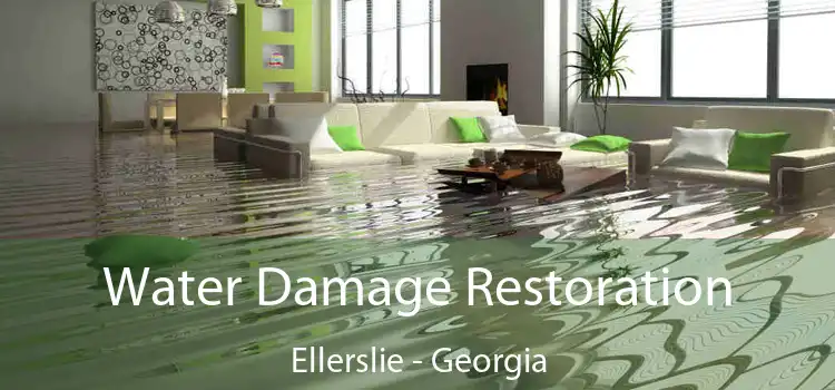 Water Damage Restoration Ellerslie - Georgia