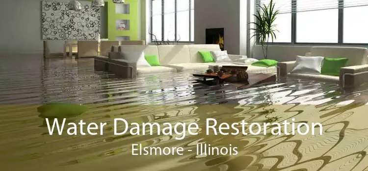 Water Damage Restoration Elsmore - Illinois