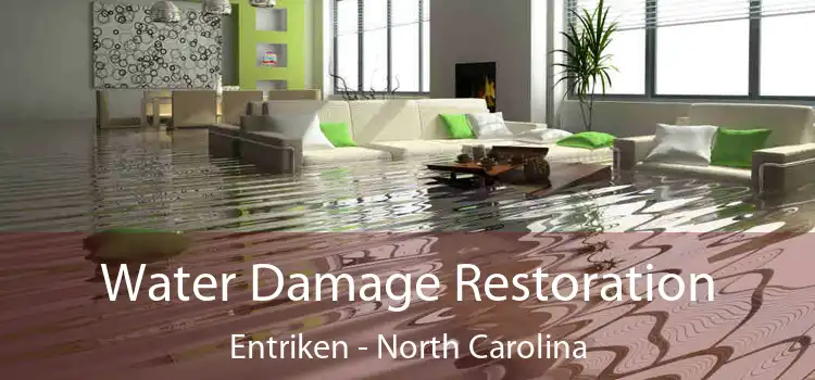 Water Damage Restoration Entriken - North Carolina