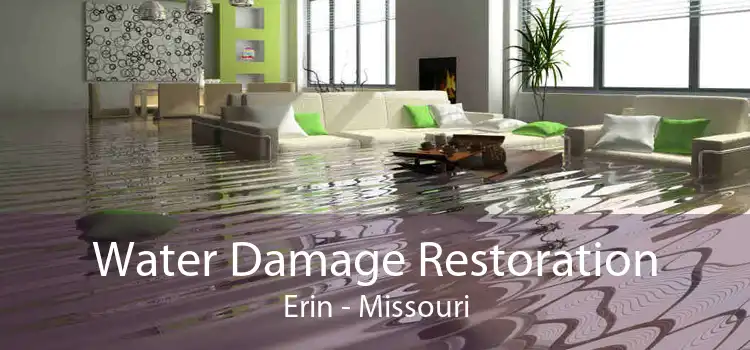 Water Damage Restoration Erin - Missouri