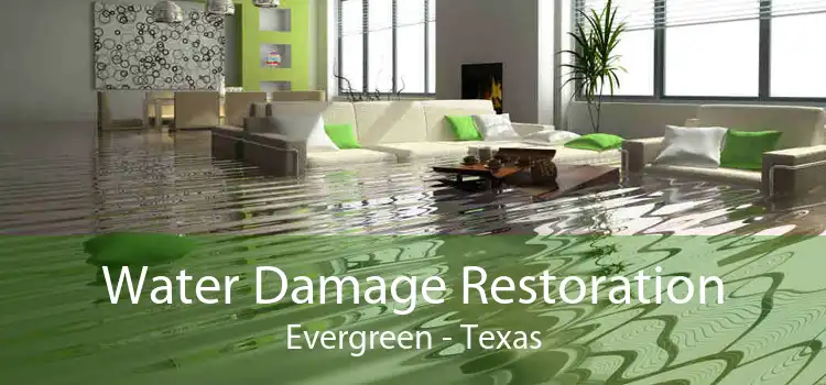 Water Damage Restoration Evergreen - Texas