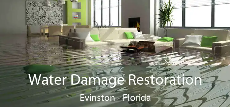 Water Damage Restoration Evinston - Florida