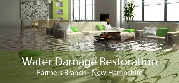 Water Damage Restoration Farmers Branch - New Hampshire