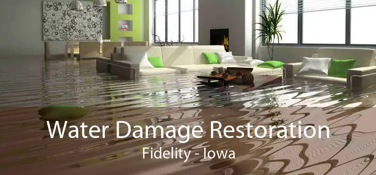 Water Damage Restoration Fidelity - Iowa
