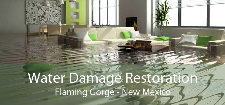 Water Damage Restoration Flaming Gorge - New Mexico
