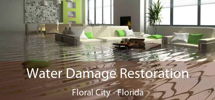 Water Damage Restoration Floral City - Florida