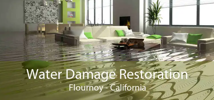 Water Damage Restoration Flournoy - California