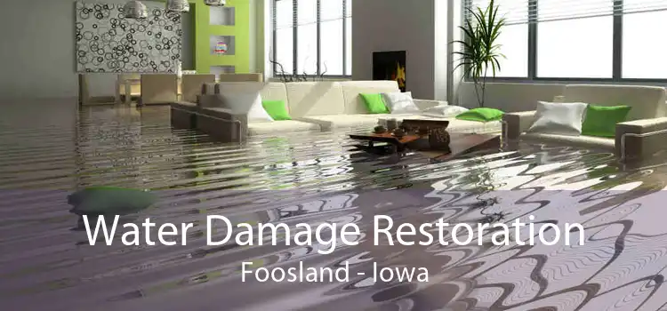 Water Damage Restoration Foosland - Iowa