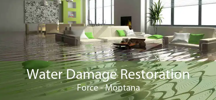 Water Damage Restoration Force - Montana