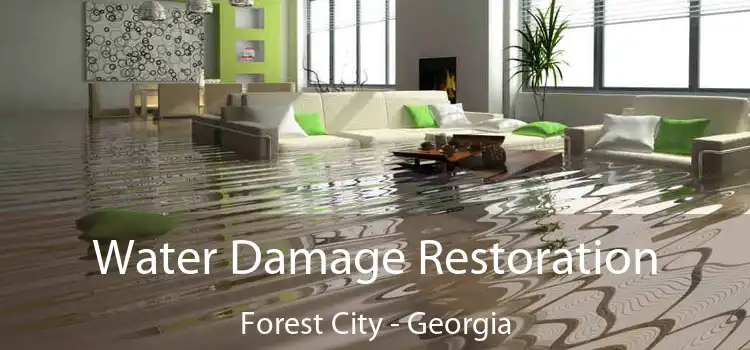 Water Damage Restoration Forest City - Georgia