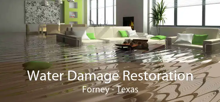 Water Damage Restoration Forney - Texas