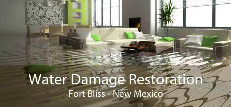 Water Damage Restoration Fort Bliss - New Mexico