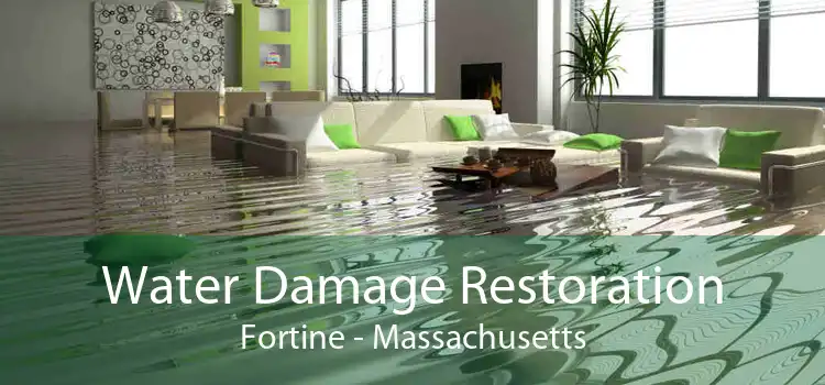 Water Damage Restoration Fortine - Massachusetts