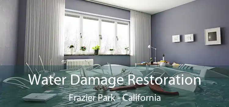 Water Damage Restoration Frazier Park - California