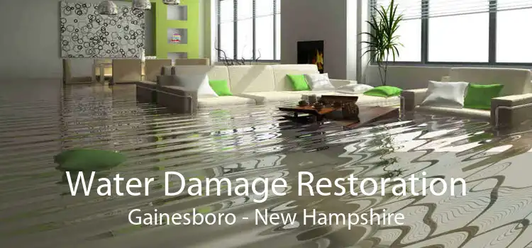 Water Damage Restoration Gainesboro - New Hampshire