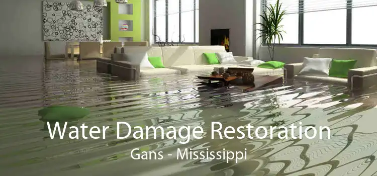 Water Damage Restoration Gans - Mississippi