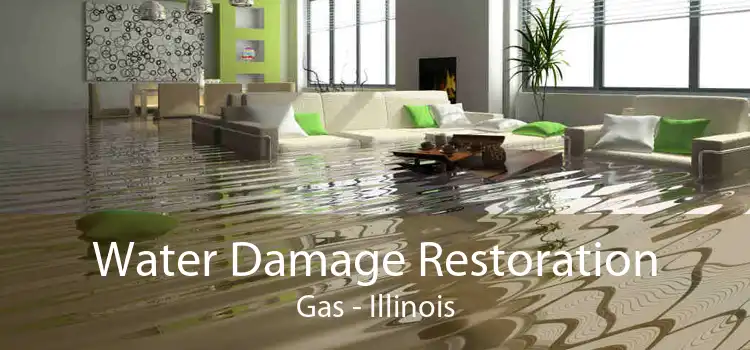Water Damage Restoration Gas - Illinois