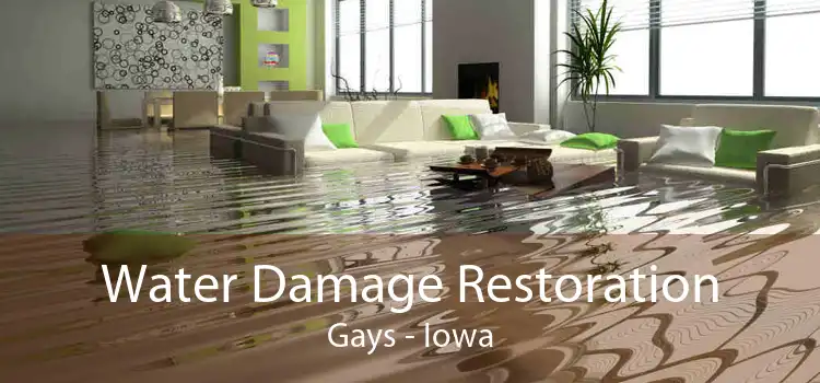Water Damage Restoration Gays - Iowa