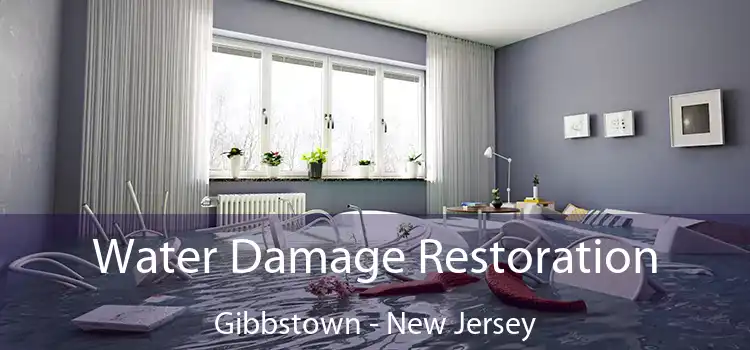 Water Damage Restoration Gibbstown - New Jersey