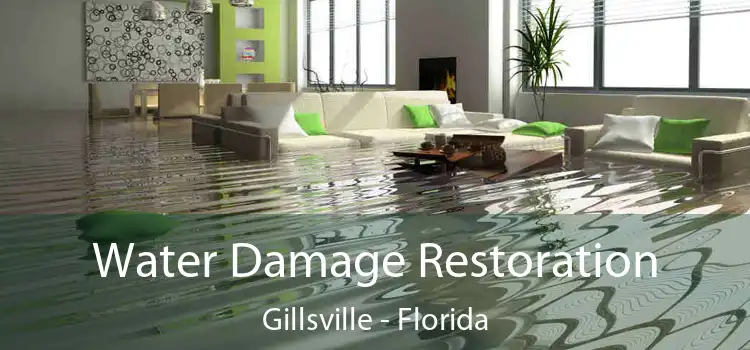 Water Damage Restoration Gillsville - Florida