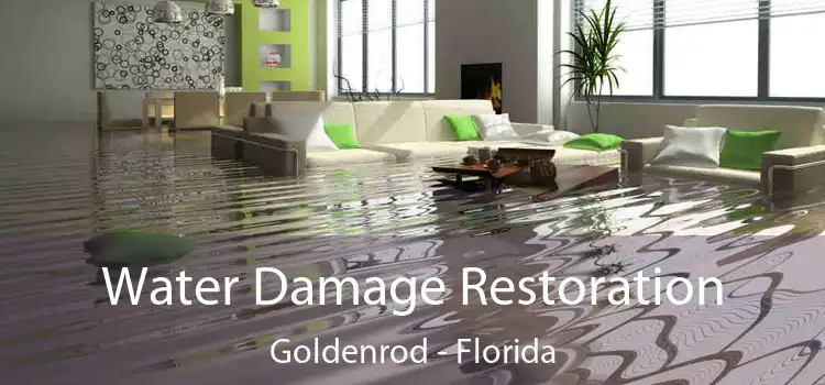 Water Damage Restoration Goldenrod - Florida