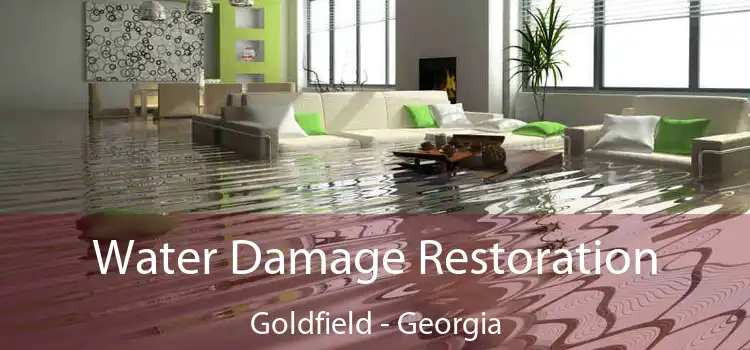 Water Damage Restoration Goldfield - Georgia