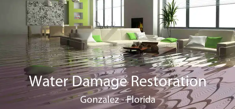 Water Damage Restoration Gonzalez - Florida