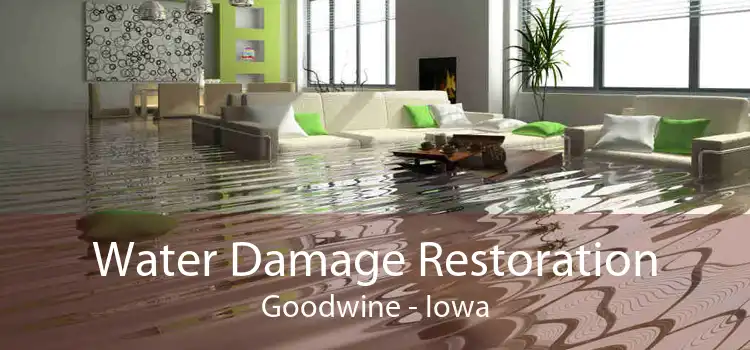 Water Damage Restoration Goodwine - Iowa
