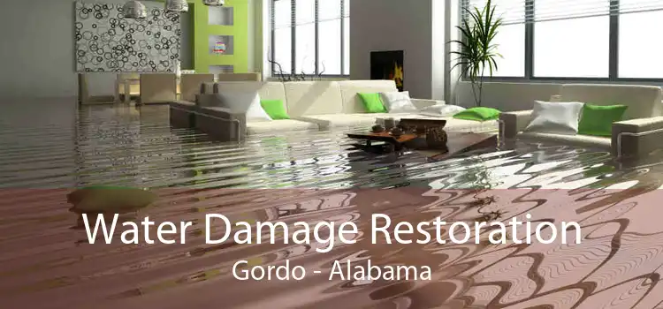 Water Damage Restoration Gordo - Alabama