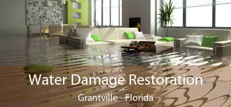 Water Damage Restoration Grantville - Florida