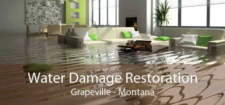 Water Damage Restoration Grapeville - Montana