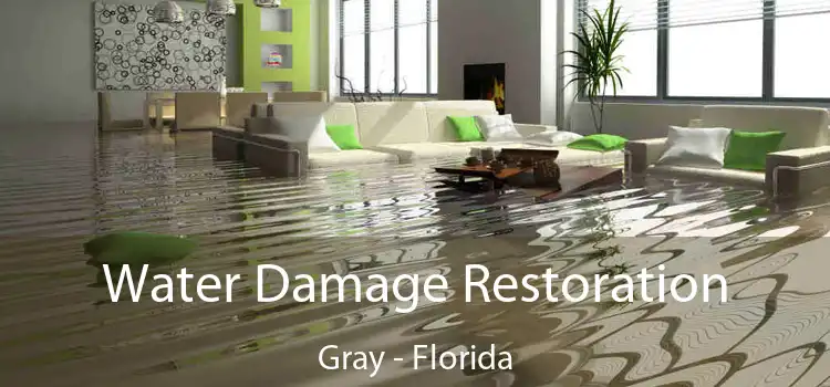 Water Damage Restoration Gray - Florida