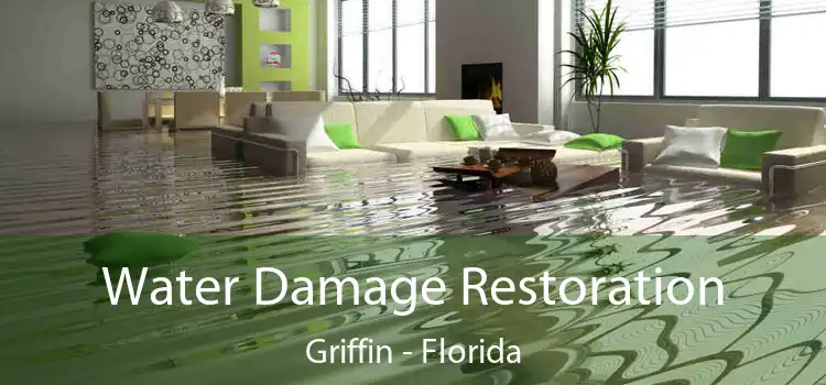 Water Damage Restoration Griffin - Florida